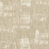 Anta  Gold W558-07